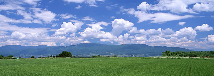 日本共産党岐阜県委員会